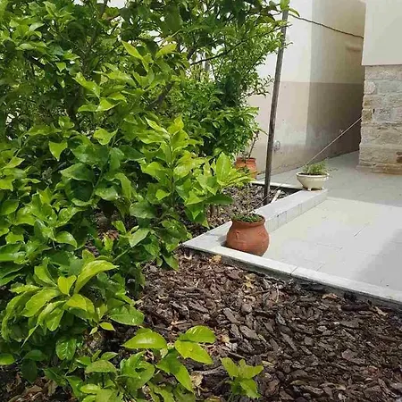 Mangoseaview Home1 Holiday home